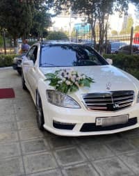 Avtomobil icarəsi Mercedes-Benz S-Class W221 — şəkil 1