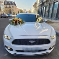 Kirayə avtomobil Ford Mustang 2016 — şəkil 3