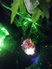 Opal + Kalsit + Kvarsit — şəkil 3