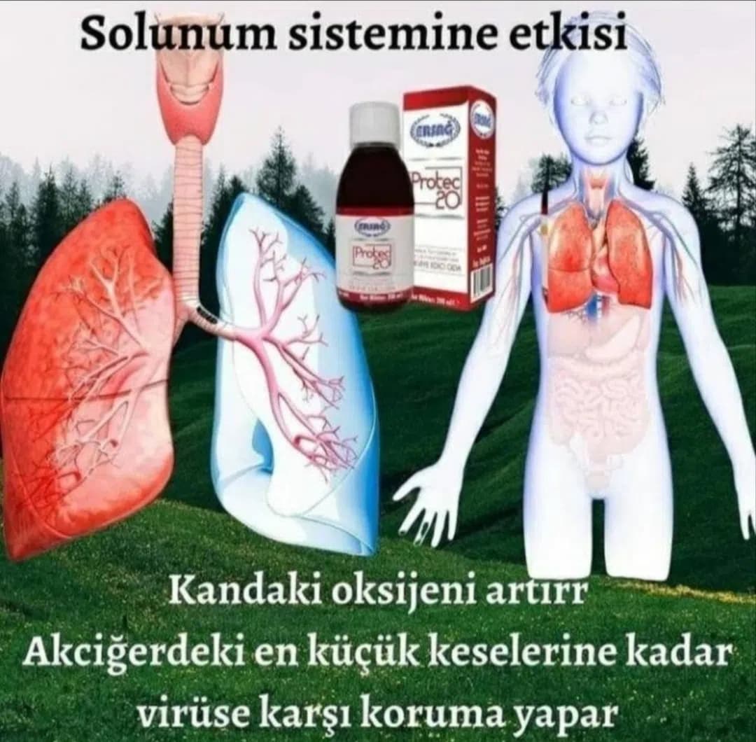 Qida əlavəsi Ersağ Protec 20