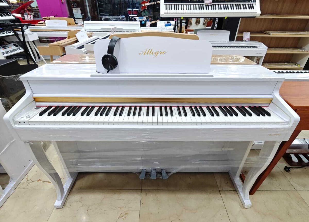 Elektron piano Allegro 8807