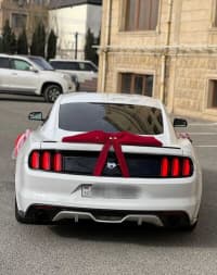 Avtomobil icarəsi Ford Mustang 2018 — şəkil 5