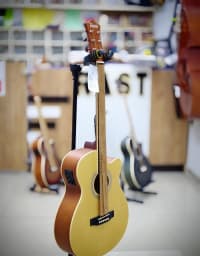Elektro-akustik gitara, 12 simli — şəkil 10