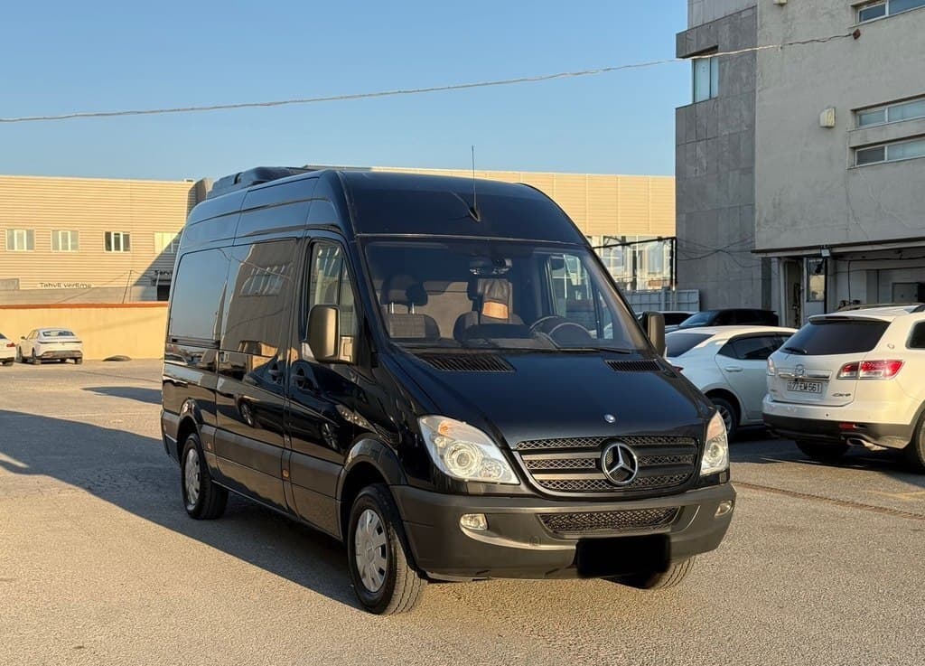Mikroavtobus Mercedes Sprinter 315, 2010