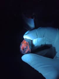 UV işığında narıncı parlayan təbii mineral nümunəsi — şəkil 4