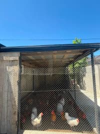 4 otaqlı bağ evi 256 m² satılır — şəkil 11