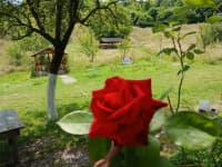 1.85 sot torpaq sahəsi satılır — şəkil 12