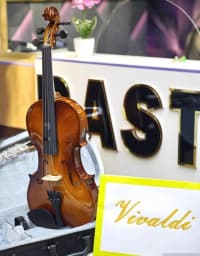Skripka Vivaldi YV-1001 — şəkil 2