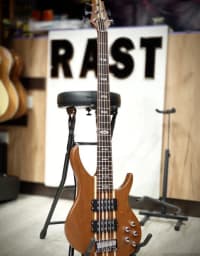 Bass gitara, 6 simli — şəkil 1
