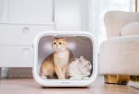 Petkit Airsalon Max Pro (PD10 Pro) Smart Quruducu — şəkil 1