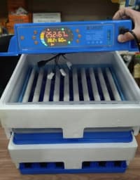 Avtomatik inkubator modelləri — şəkil 1