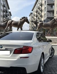 BMW 528, 2016 il, 160000 km, 2 L — şəkil 7