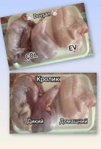 — şəkil 2