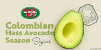 Avokado Hass və digər növlər — şəkil 1