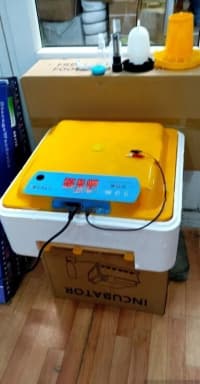 Avtomatik inkubator modelləri — şəkil 5