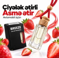 — şəkil 2