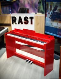 Elektro piano Allegro 8818 ağ — şəkil 16
