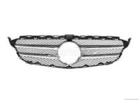 Radiator barmaqlığı Mercedes W220 — şəkil 8