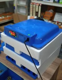 Avtomatik inkubator modelləri — şəkil 2