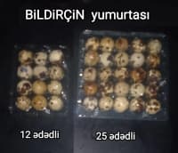 — şəkil 3