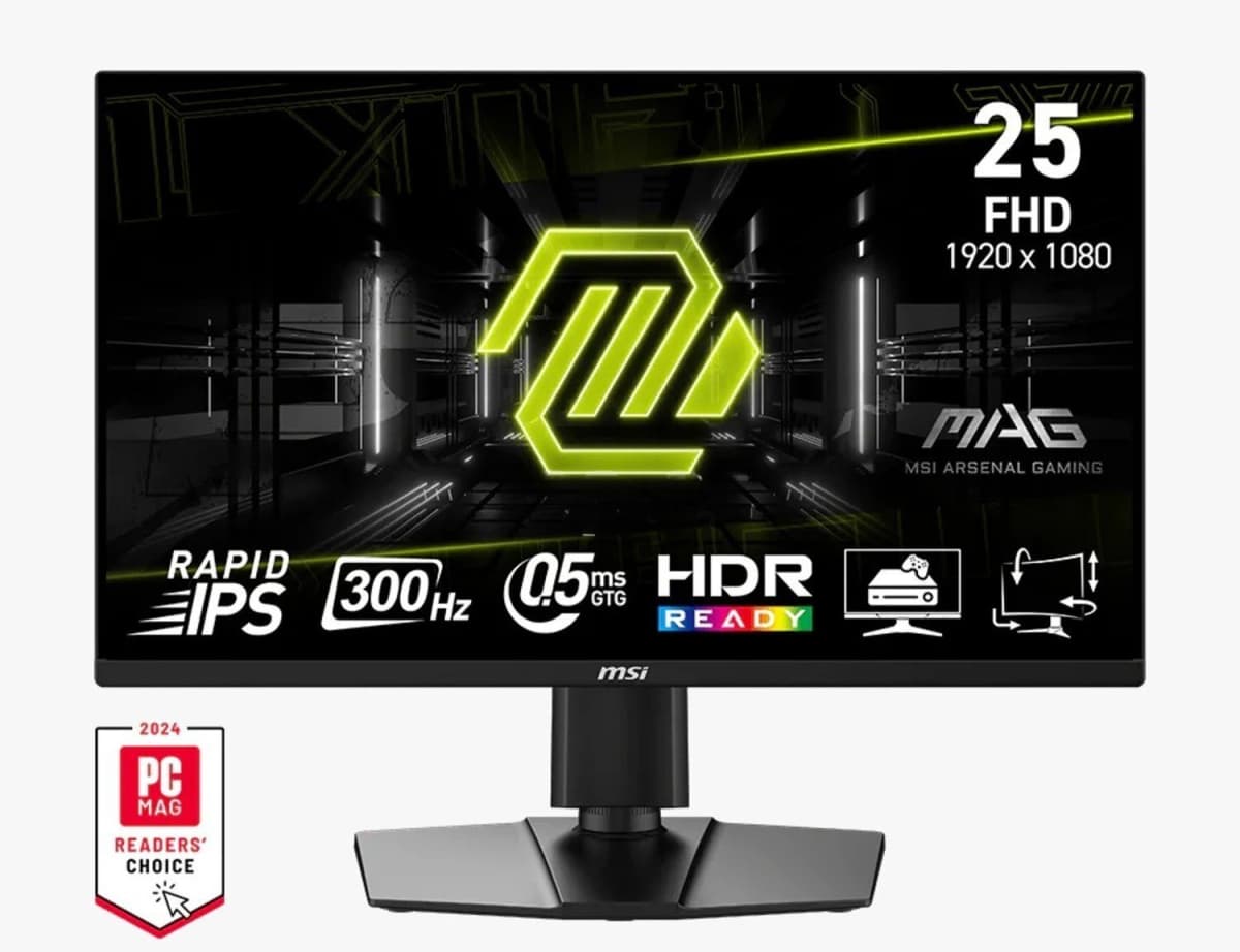 Monitor MSI MAG 255PXF 24.5" FHD 300Hz
