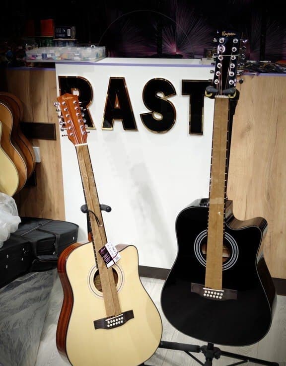 Akustik gitara , 12 simli