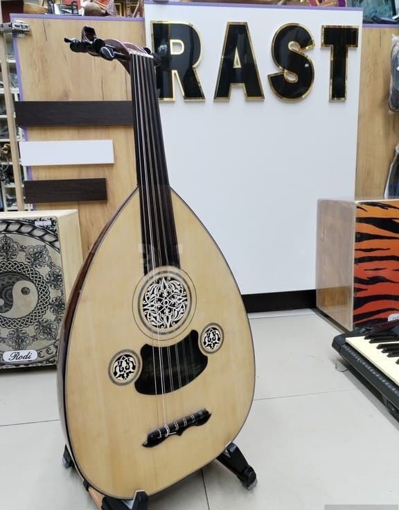 Ud musiqi aləti