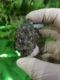 Qızılı parlaqlığı ilə göz oxşayan Təbii Daş 💎😍 — şəkil 6