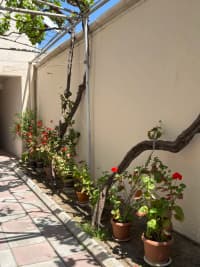 5 otaqlı həyət evi 150 m² satılır — şəkil 4