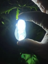 Nadir Təbii Aquamarine daşı 💎 — şəkil 2