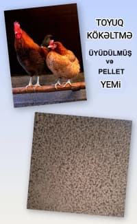 Kənd təsərrüfatı heyvanları üçün proteinli yemlər — şəkil 12
