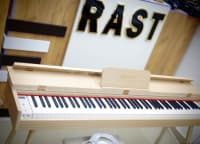 Elektro piano Allegro AG-F8820-C — şəkil 19