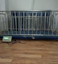 Elektron Heyvandarlıq və Kənd Təsərrüfatı Tərəzisi — şəkil 3