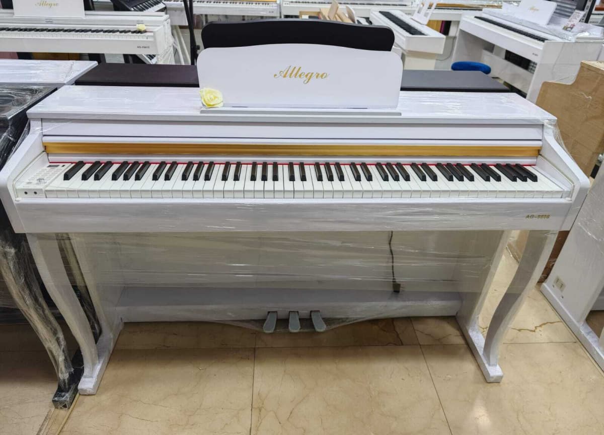 Elektron piano Allegro 8808
