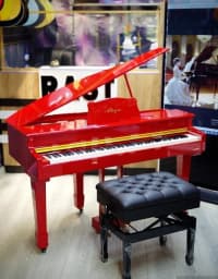 Elektron piano Royal Allegro RK-333 — şəkil 17