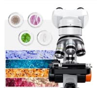 Biologiya mikroskopu 15000x — şəkil 2