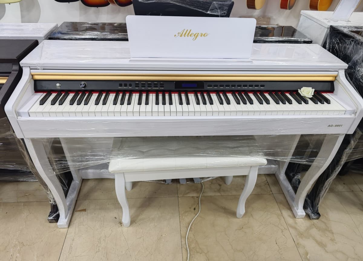 Elektron piano Allegro seriyası