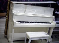 Akustik piano — şəkil 9