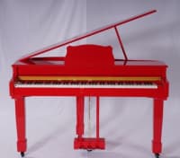 Elektron piano Royal Allegro RK-333 — şəkil 21