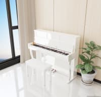 Elektron piano Allegro AG-880 Polish White — şəkil 10