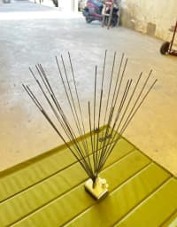 Quşqovan tikanlı ziqzaq 60 sm — şəkil 2