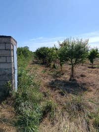 100 sot torpaq sahəsi satılır — şəkil 7