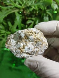 Petrified wood (daşlaşmış ağac) fosili + Kalsit — şəkil 2