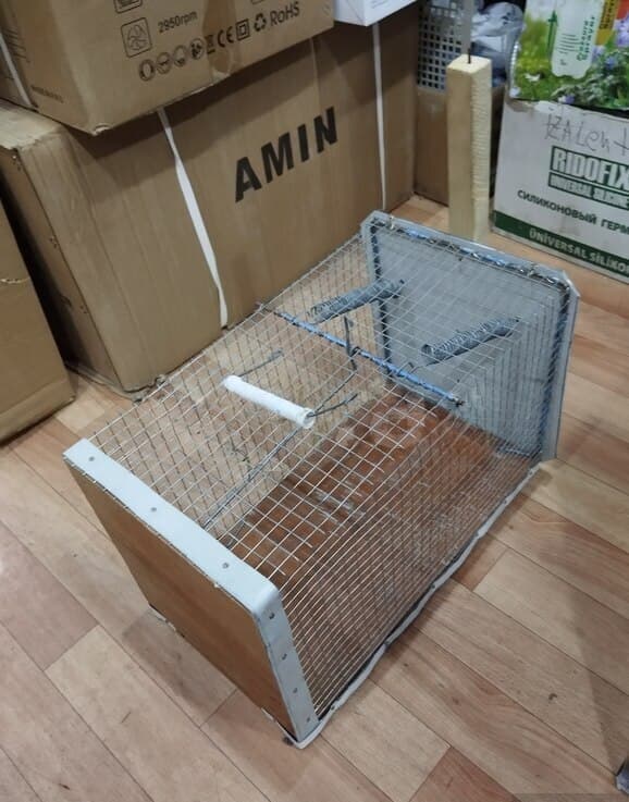 Pişik tələsi 40x22x28 sm