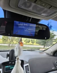 Chevrolet Cruze, 2015 il, 250000 km, 1.4 L — şəkil 4