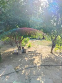 3 otaqlı həyət evi 100 m² satılır — şəkil 11
