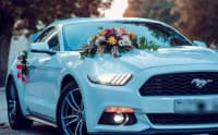 Avtomobil icarəsi Ford Mustang Coupe 2017 — şəkil 7