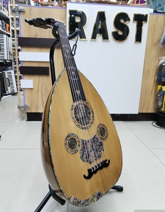 Sədəfli ud, ekvalayzerli və mikrofonlu