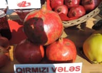 — şəkil 20