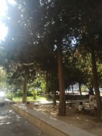 2 otaqlı mənzil 50 m² kirayə verilir — şəkil 3